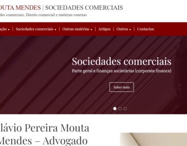 Flávio Mouta Mendes - sociedades comerciais